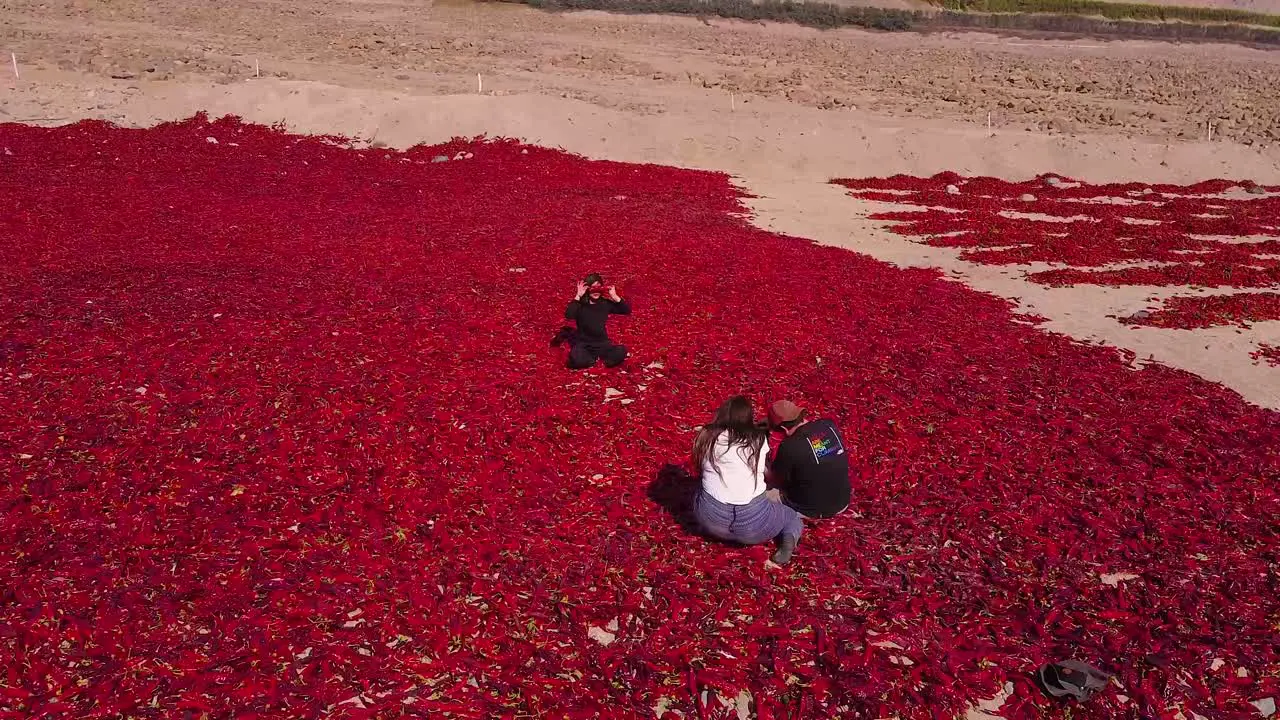 Two Photographers Taking Shots for Girl Posing On Ground In Nature Peru