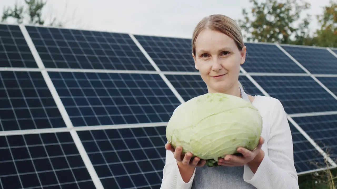 Farmer woman holding head of cabbage standing against solar power plant background