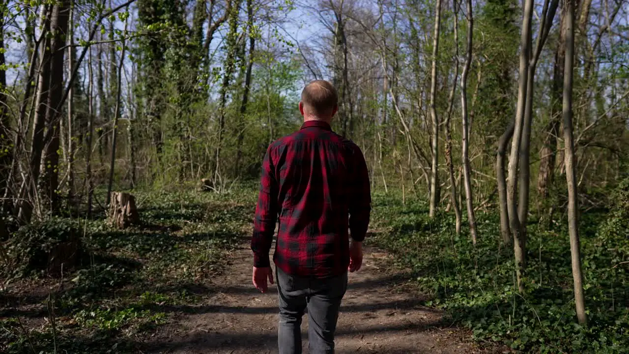 Man Walks on Trail in Forest Folowing Shot from Behind on Sunny Day