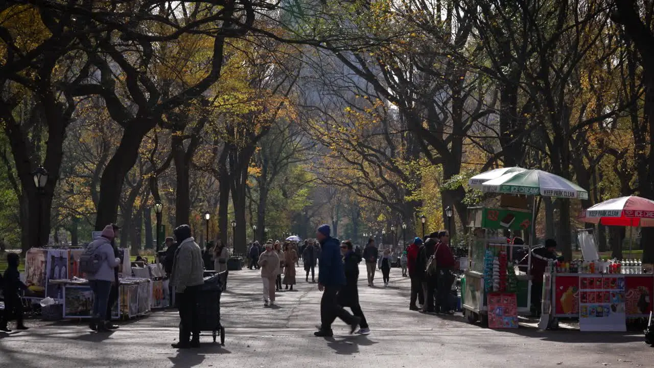 During autumn Central Park's promenade comes alive with vibrant fall colors as people leisurely stroll through the seasonal hues