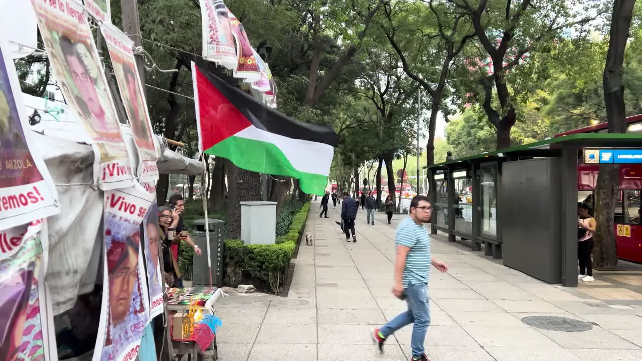 slow motion shot of palestinan flag in mexico city