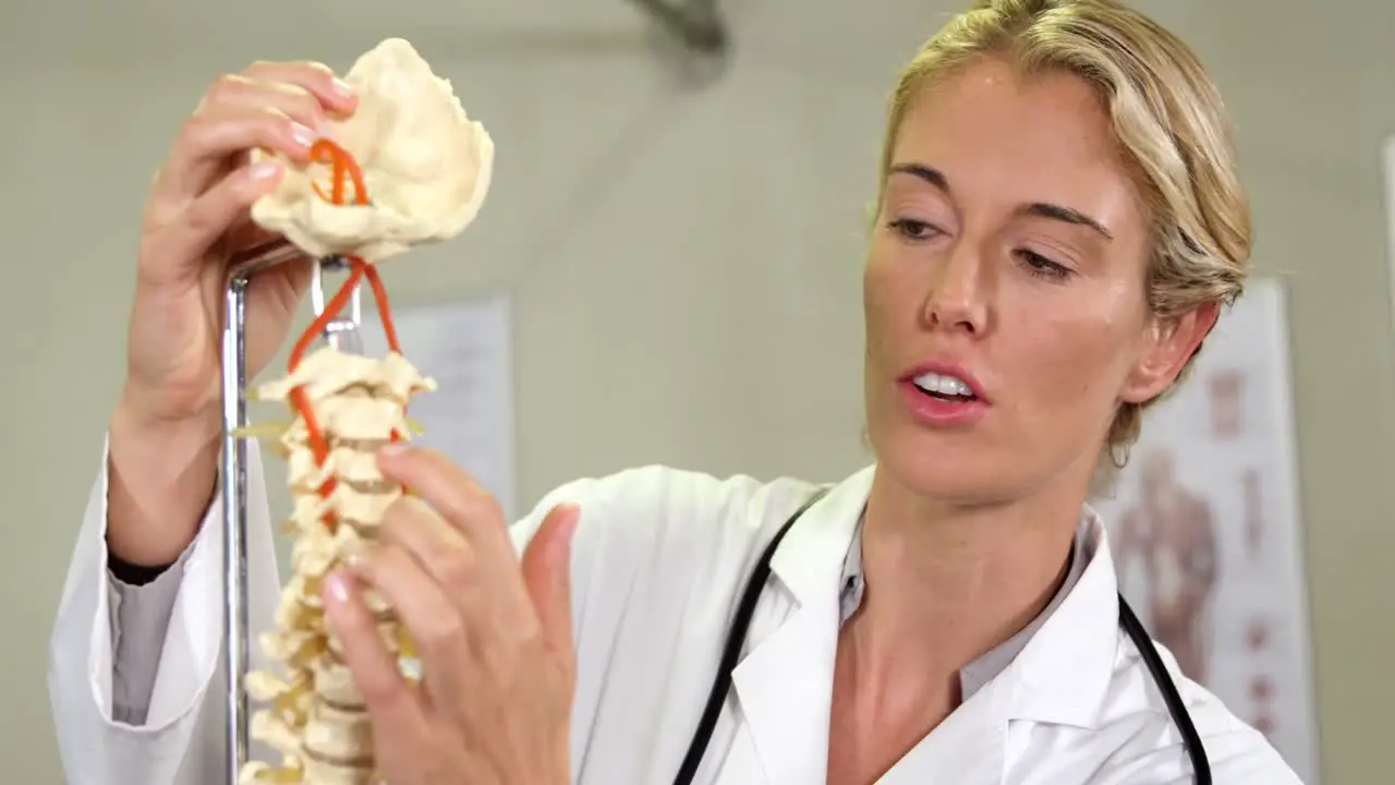 Physiotherapist looking at spine model