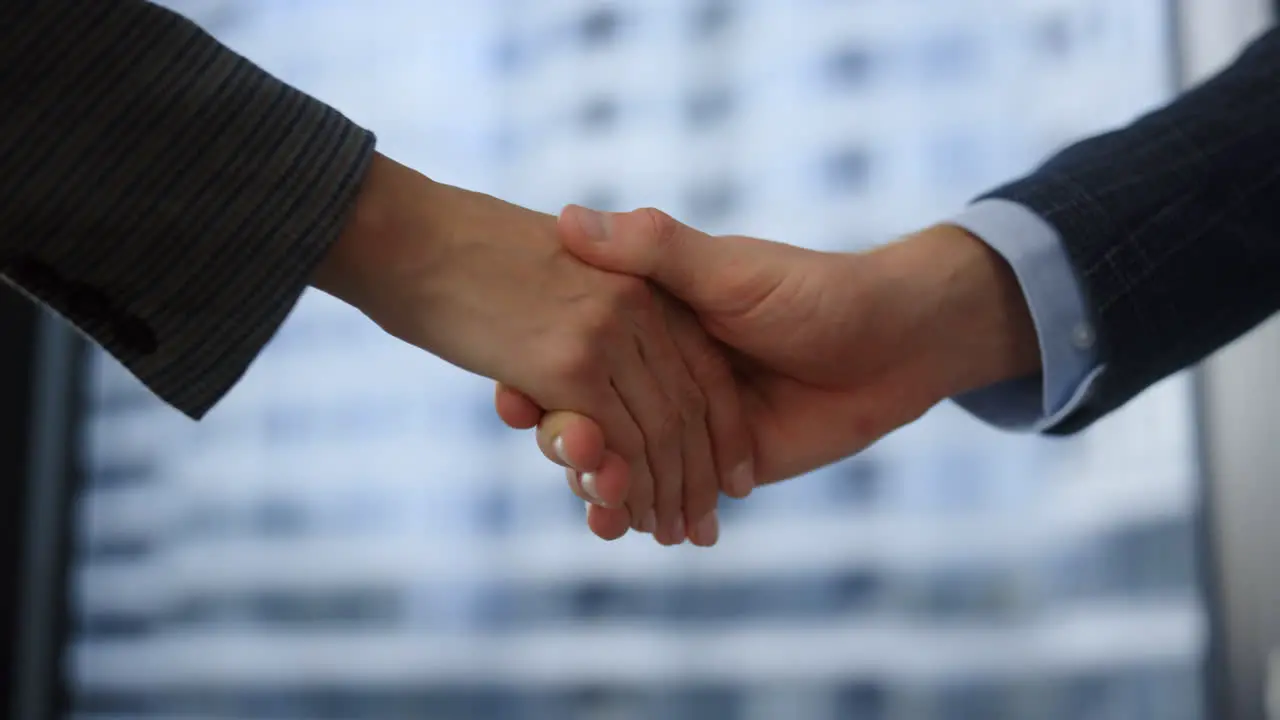 Businessman and businesswoman handshaking Employee shaking hands at meeting