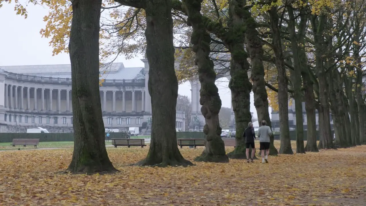 Two old men running at Jubelpark in Cinquantenaire in Brussels city centre fall season