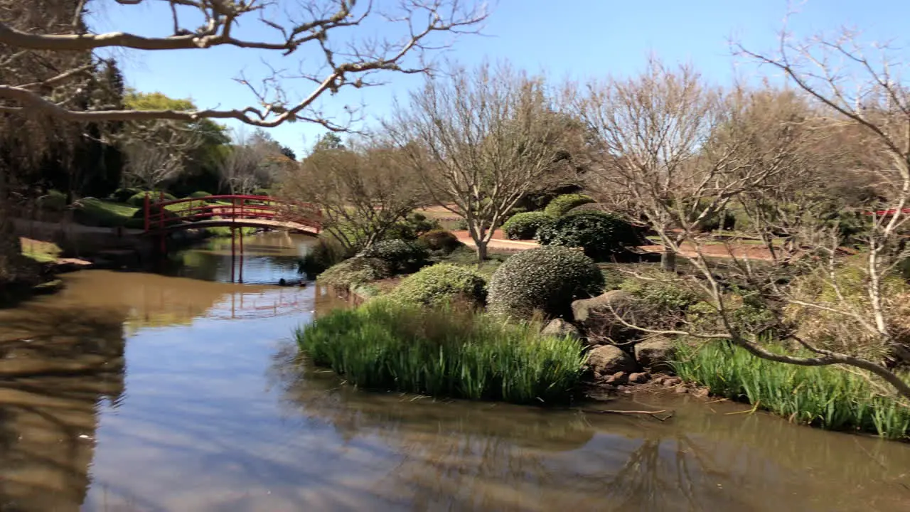 Slo pan of pond bridge to bridge Ju Raku En Japanese Garden Toowoomba Australia