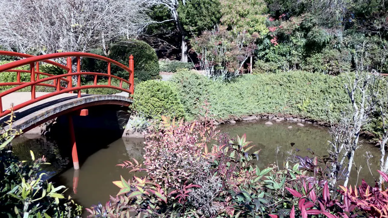 Red bridge over calm pond Ju Raku En Japanese Garden Toowoomba Australia