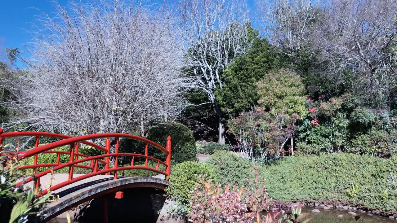 Close shot of Red bridge Ju Raku En Japanese Garden Toowoomba Australia