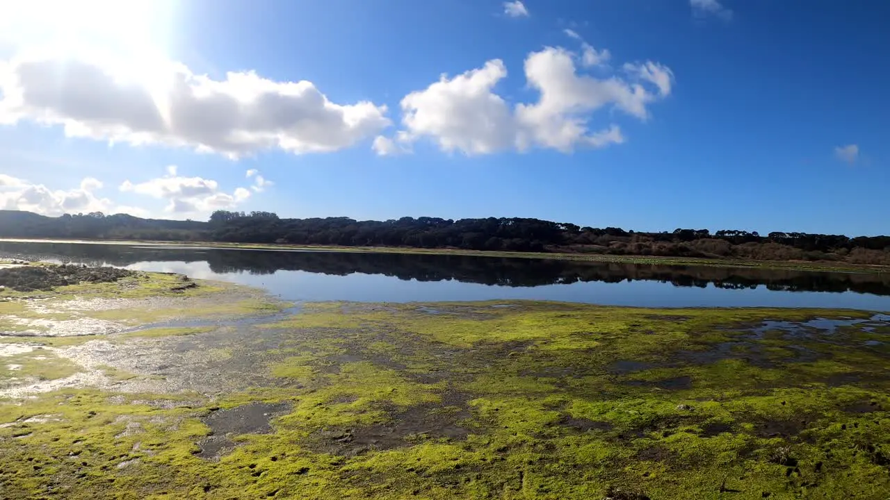 Wetlands