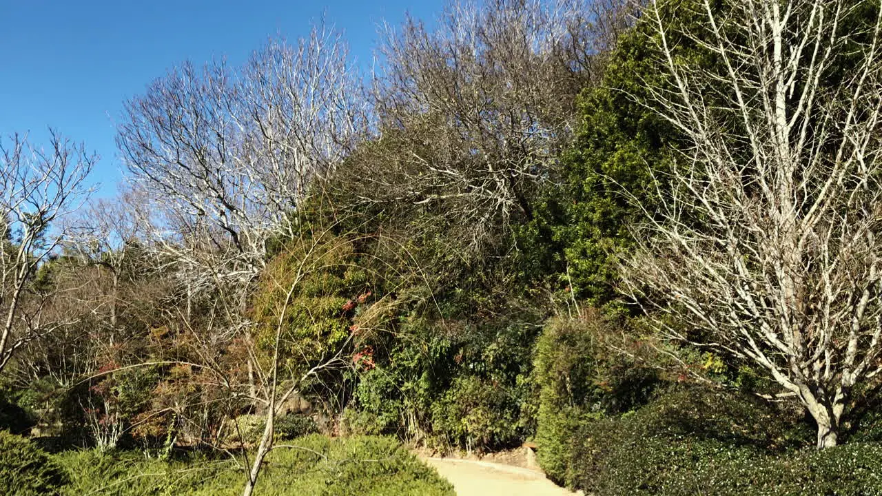 Tilt shot of sky down to gravel pathway surrounded by green foliage Ju Raku En Japanese Garden Toowoomba Australia