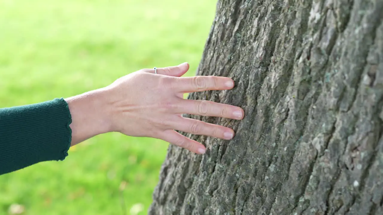 Caucasian hand touching tree trunk in 4K Slow Motion