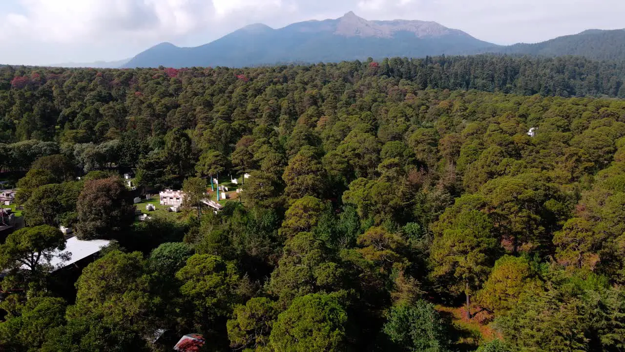 Flight over Ajusco forest in Mexico city