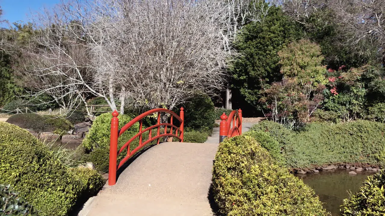 Pan right from red bridge to pond Ju Raku En Japanese Garden Toowoomba Australia