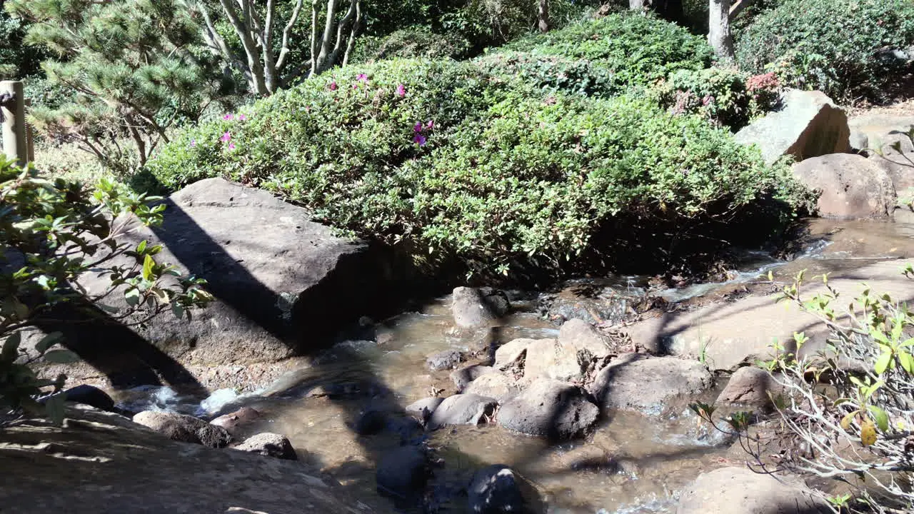 Running creek from waterfall with green foliage Ju Raku En Japanese Garden Toowoomba Australia