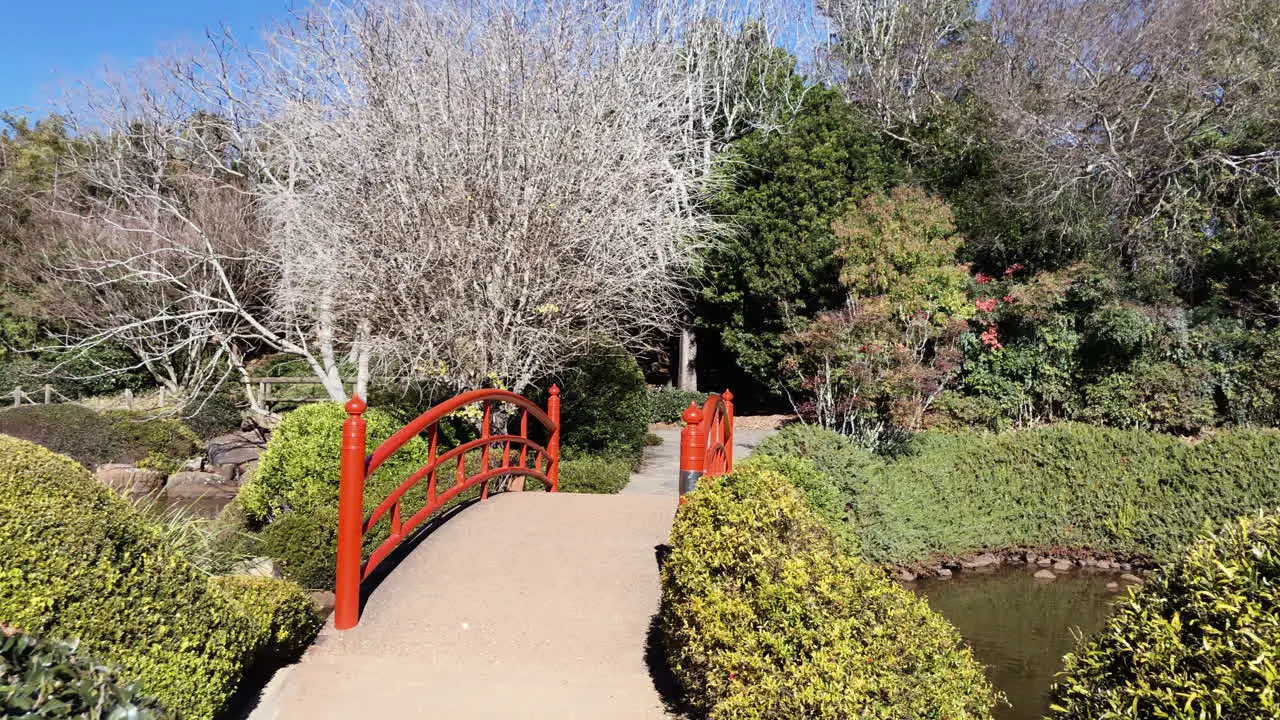 Pan left from red bridge to pond Ju Raku En Japanese Garden Toowoomba Australia