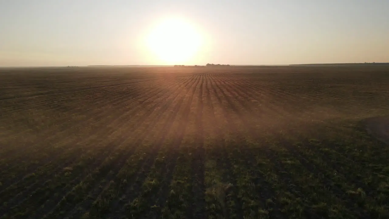 Aerial view of Sunset in a field