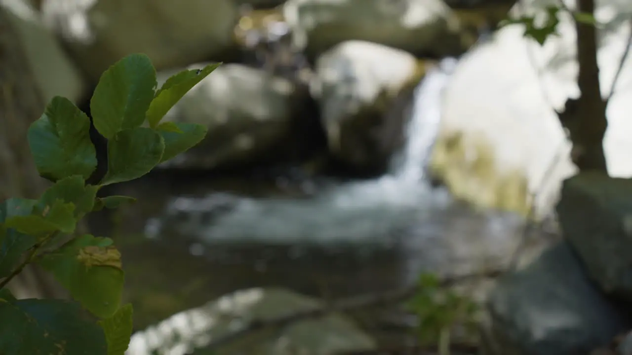 panning shot racking focus from a branch to small cascade located in Santa Paula Punch Bowls Southern California