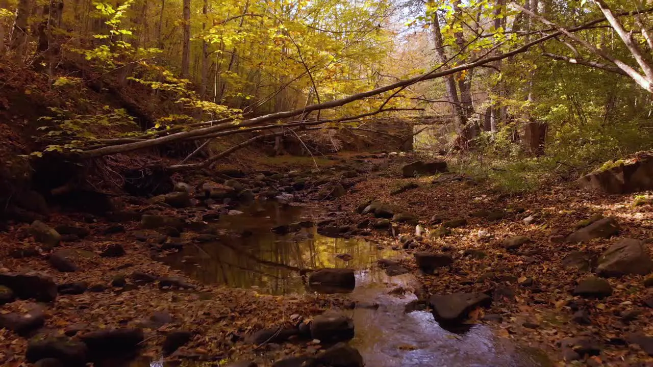 Low drone footage over small river in autumn-6