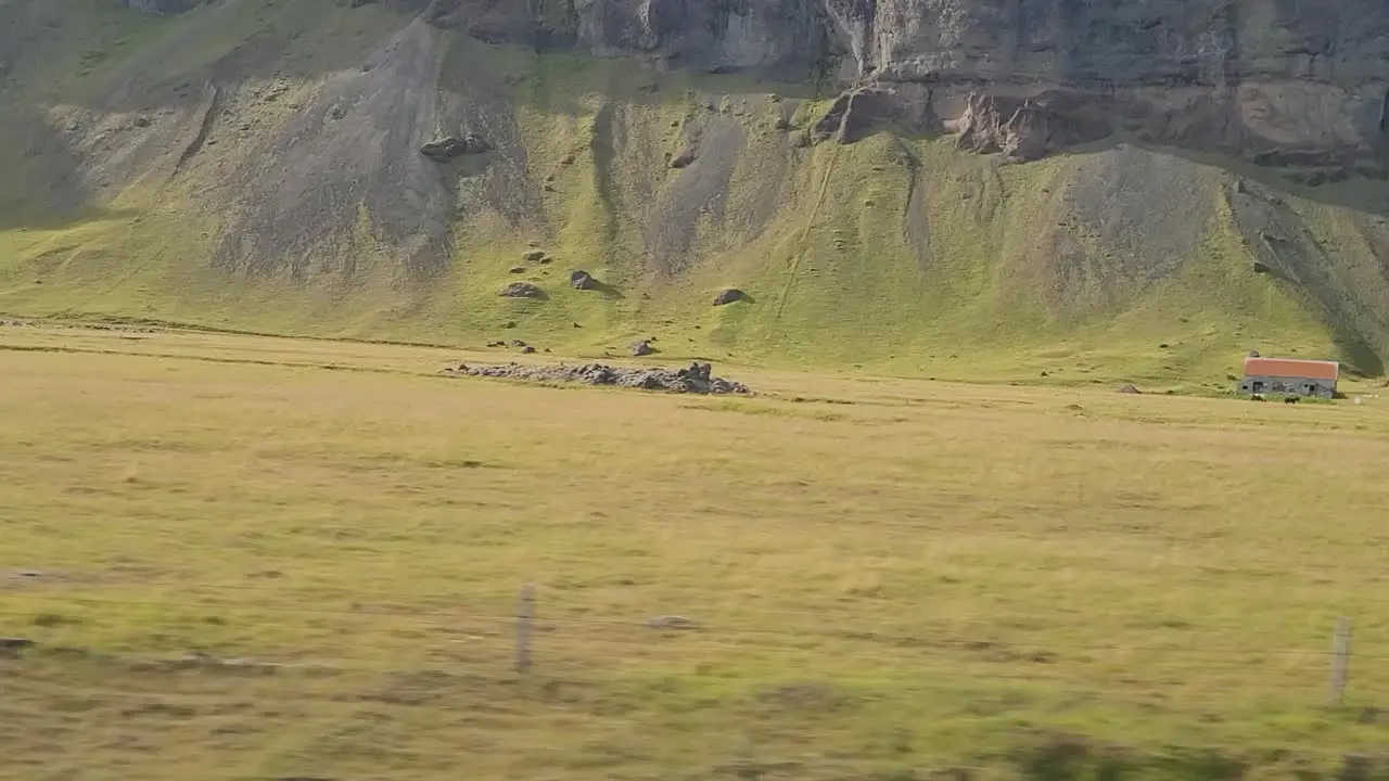 green landscape of Iceland from a vehicle