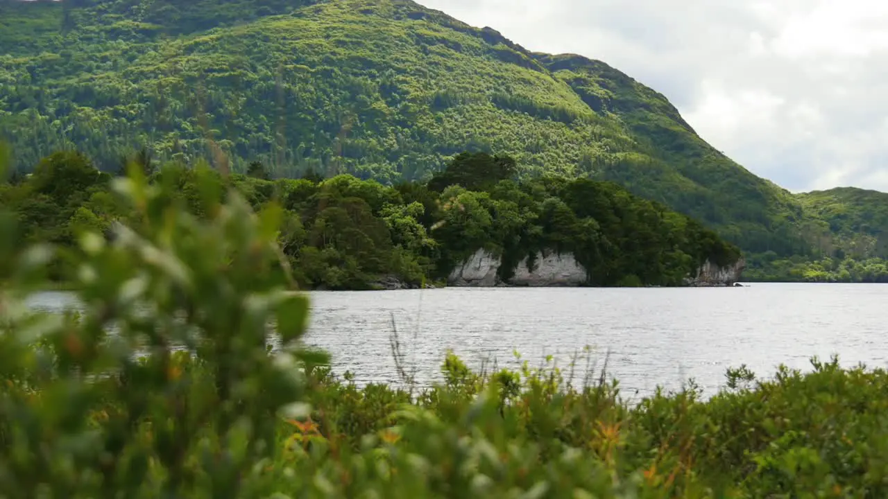 Beautiful and vibrant Irish landscape full of greenery and water