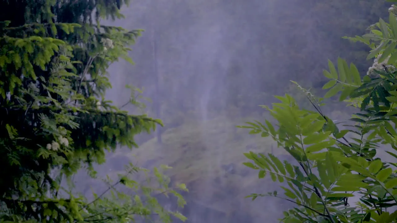 a fog of small water drops splash from a waterfall in a pine forest