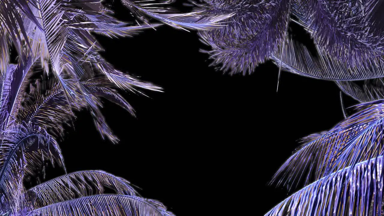 A frame of palm leaves blowing in the wind with purple boughs and a black background to use as a layer or for copy space