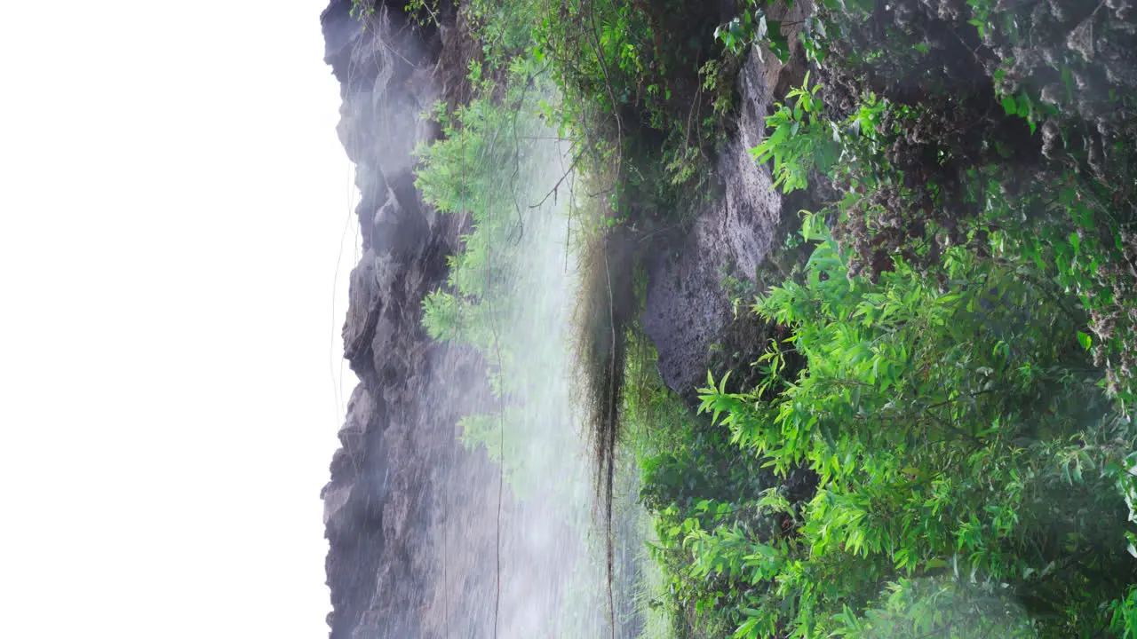 Close up of the waterfall coming from the rocky mountain surrounded with plants