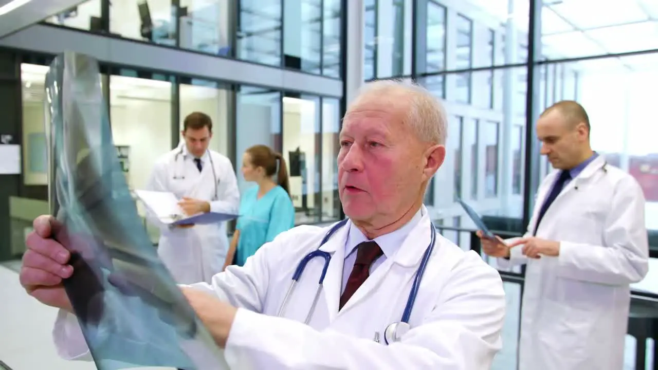 Doctor examining x-ray report in corridor