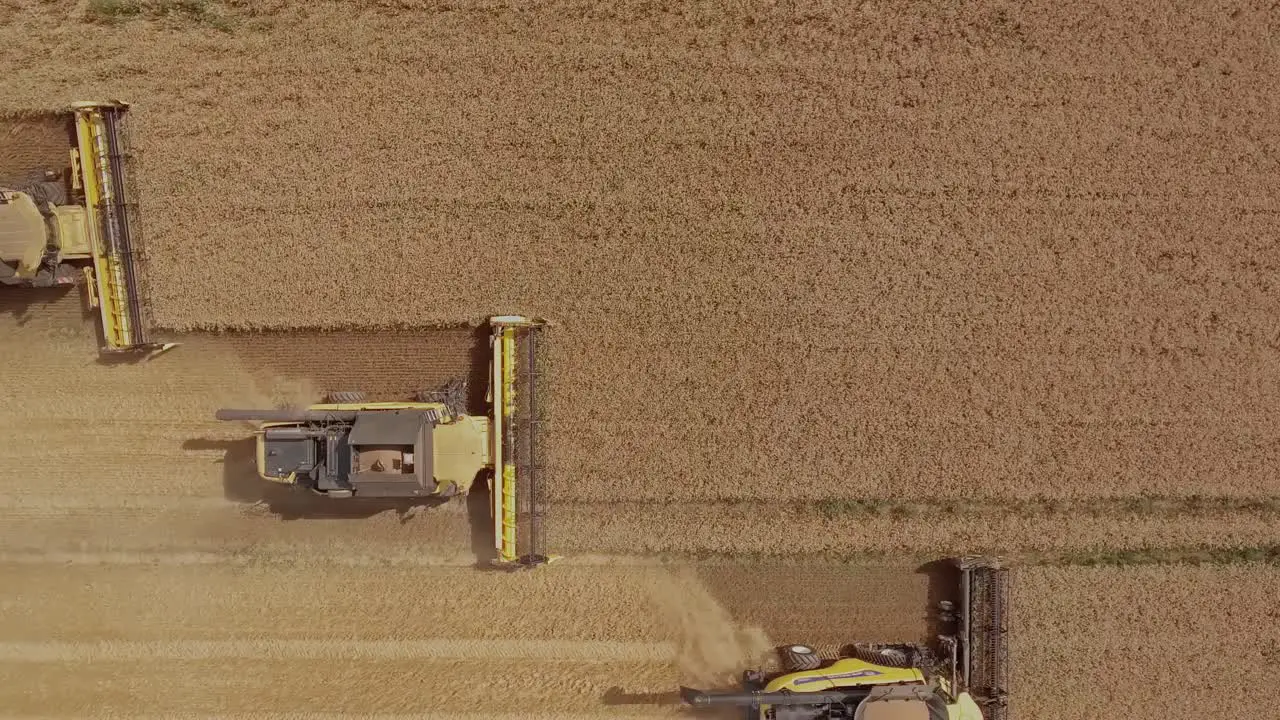 Top down descending view of a group of combine harvesters collecting wheat on a golden wheat field