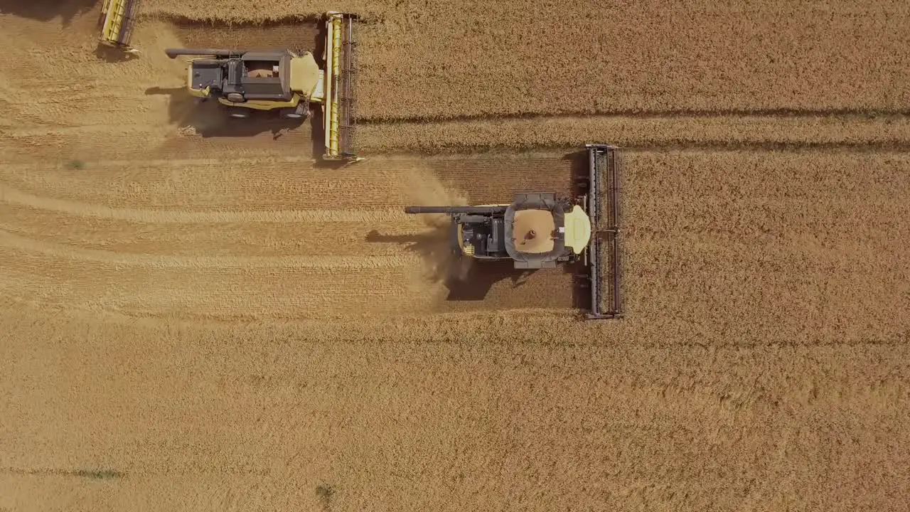 Spiralling and ascending drone view of a combine harvester harvesting golden wheat during peak season