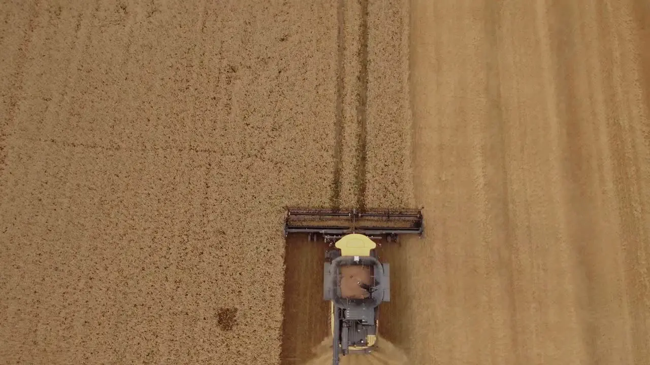 Aerial view revealing a vast wheat field during harvest season as a combine harvester collects golden wheat