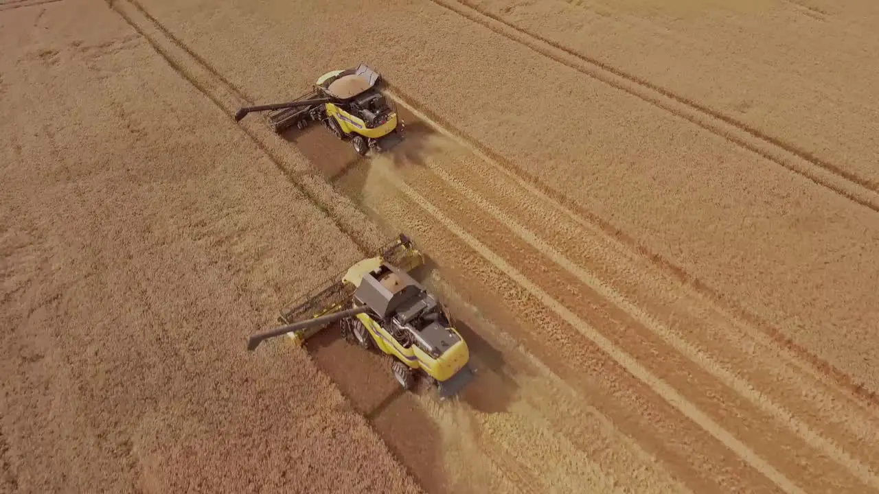 Aerial top-down view of a row of combine harvesters working in unison to collect golden wheat during harvest season