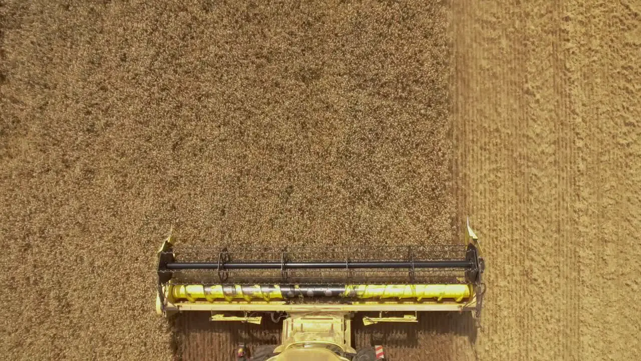 Top down view of a combine harvester collecting golden wheat