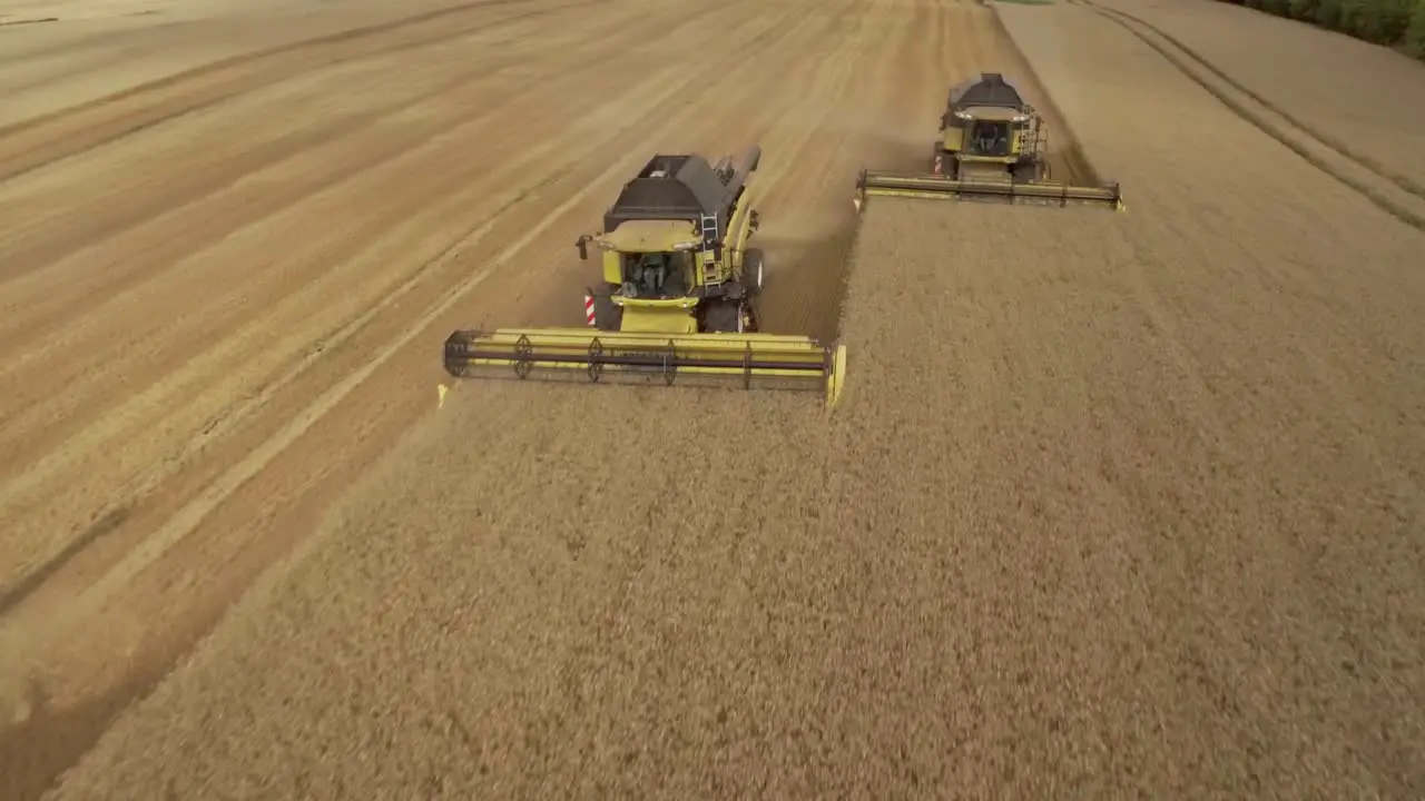 Drone flying over three combine harvesters collecting golden wheat during harvest season