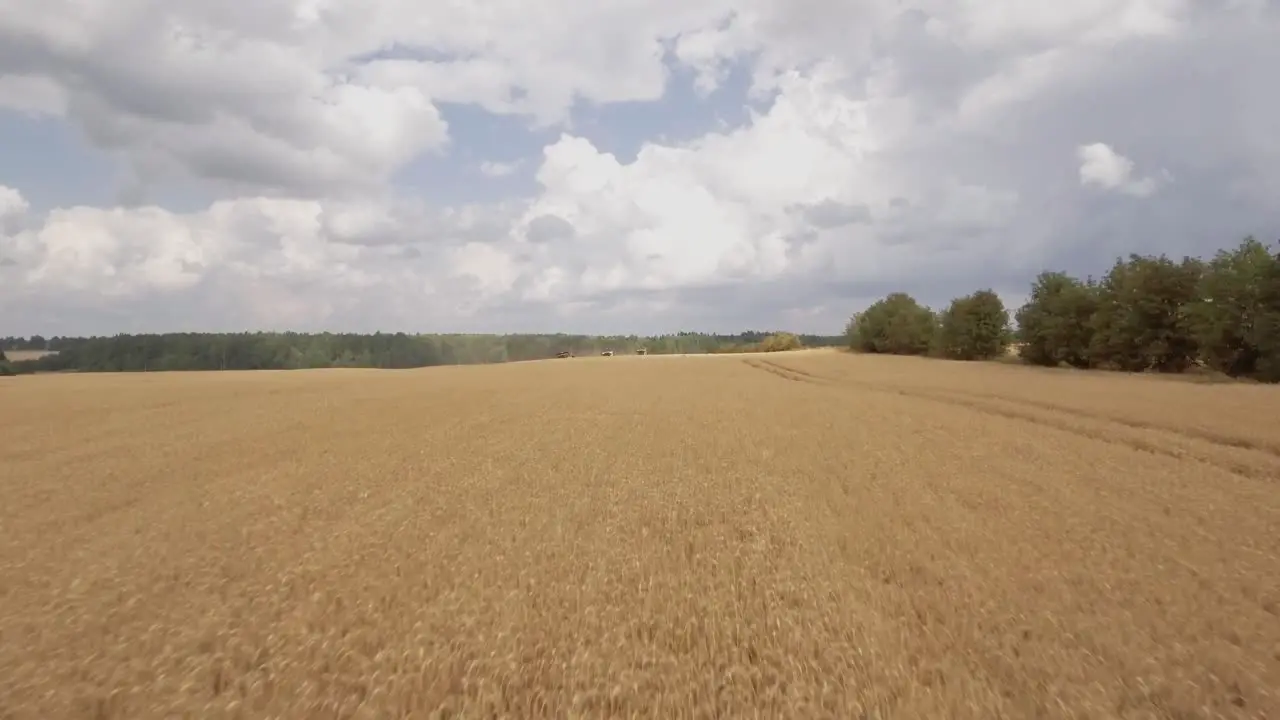 Aerial view of a drone closing in on combine harvesters working on a beautiful golden wheat field