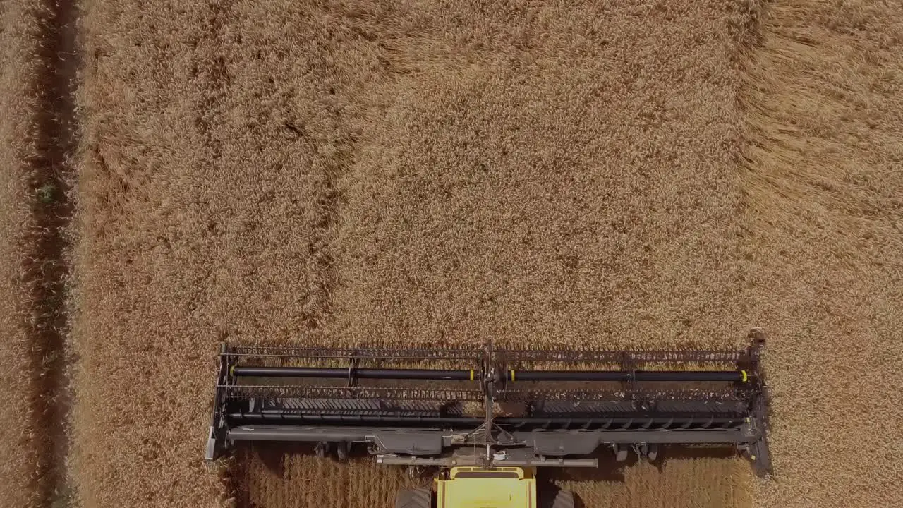 Top down view of a combine harvester cutting beautiful golden wheat during harvest season