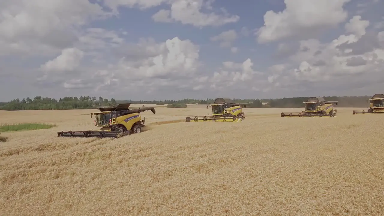 Cinematic shot of a group of combine harvesters working in unison collecting golden wheat