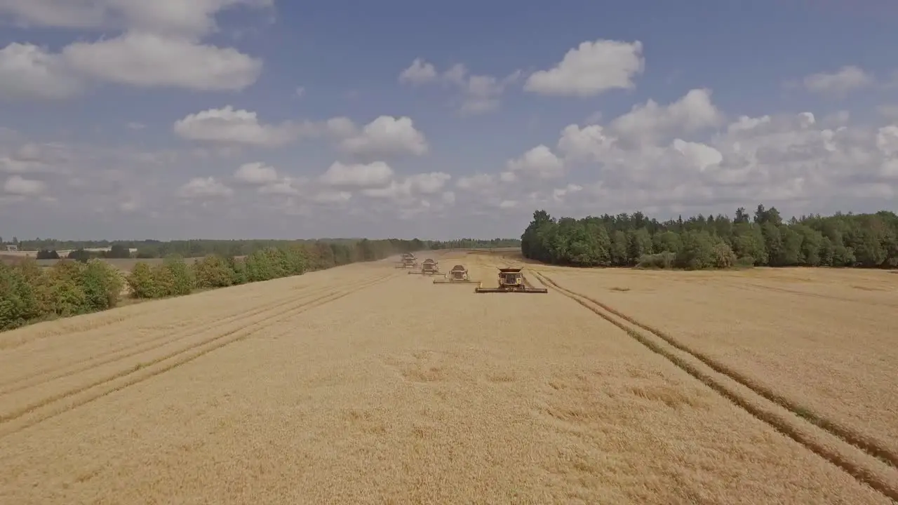 Aerial view of a team of combine harvesters collecting wheat on a golden wheat field during harvest season