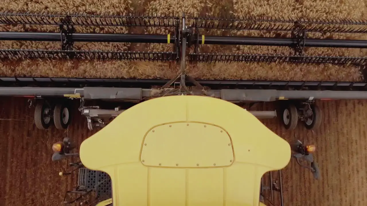 Amazing closeup aerial view of a combine harvester collecting wheat on a golden wheat field