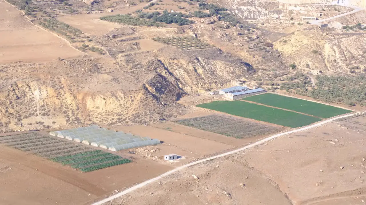 View of farming industry growing fruit crops in the Middle East Jordan static shot of farming food production landscape