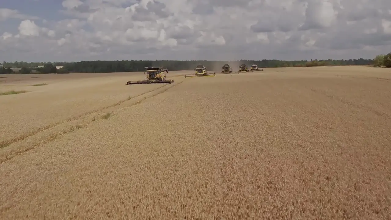 Cinematic shot of a group of combine harvesters on a golden wheat field during harvest season