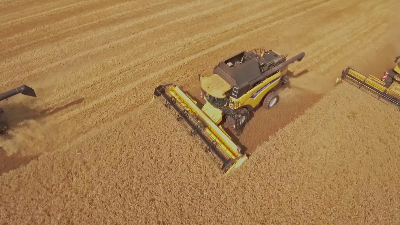 Drone flying over combine harvesters collecting golden wheat during harvest season