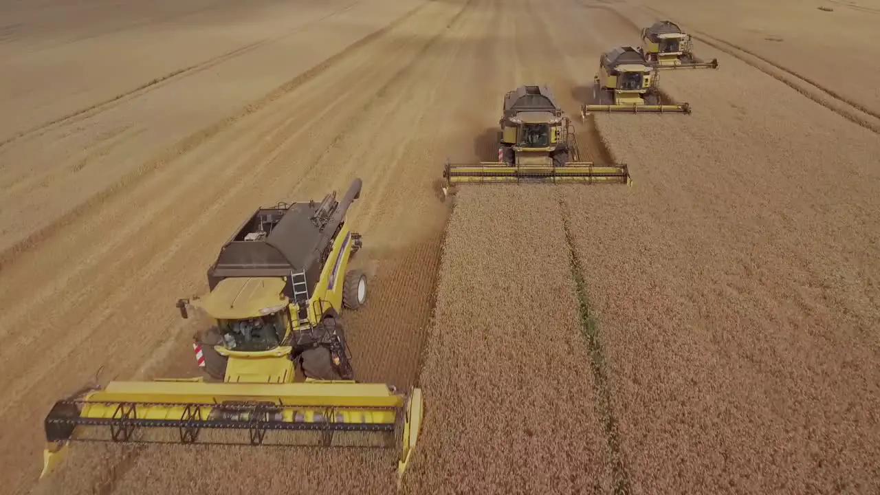 Beautiful golden wheat field