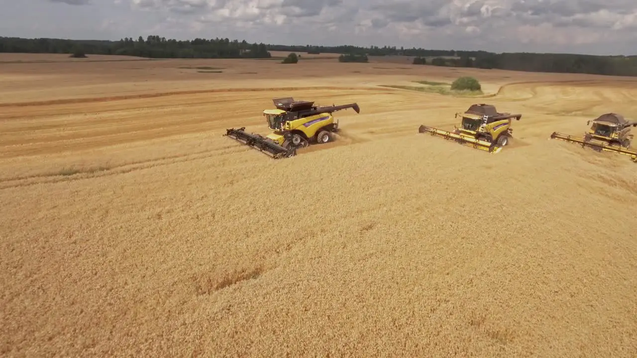 Harvesting golden wheat