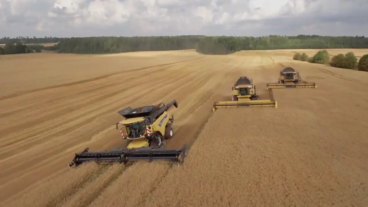 Camera flying over a row of combine harvesters collecting wheat on a beautiful golden field