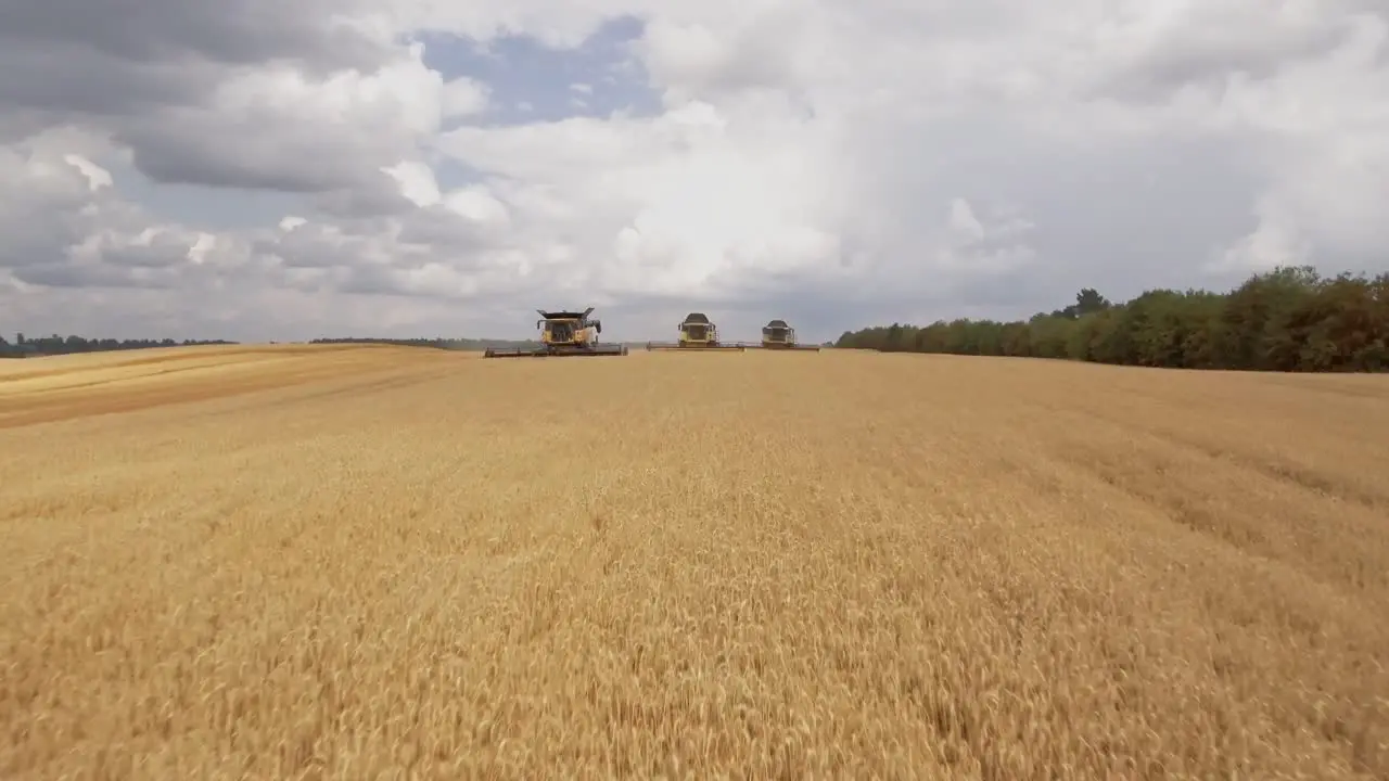 Low altitude flight over three combine harvesters collecting golden wheat during harvest season