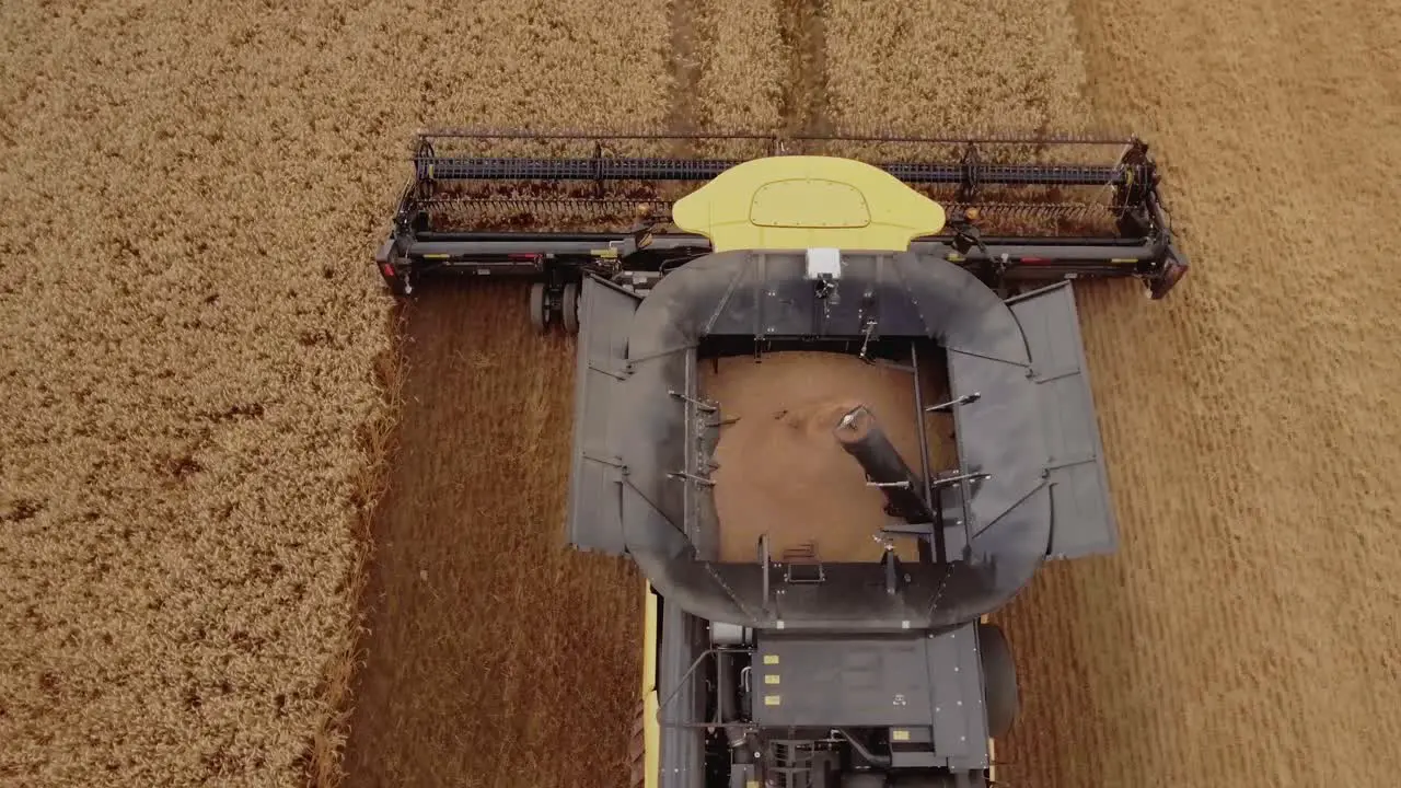 Bird's-eye view of a combine harvester gathering ripe wheat