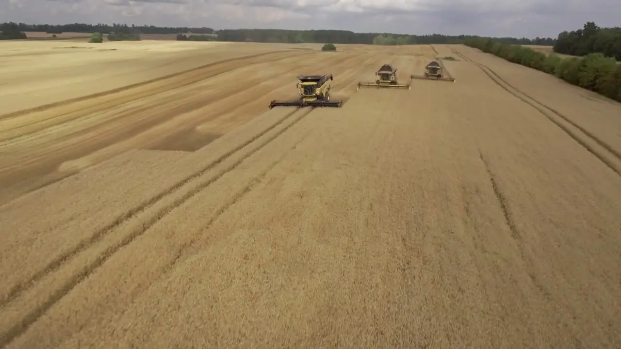 Aerial shot of three combine harvesters collecting wheat during harvest season