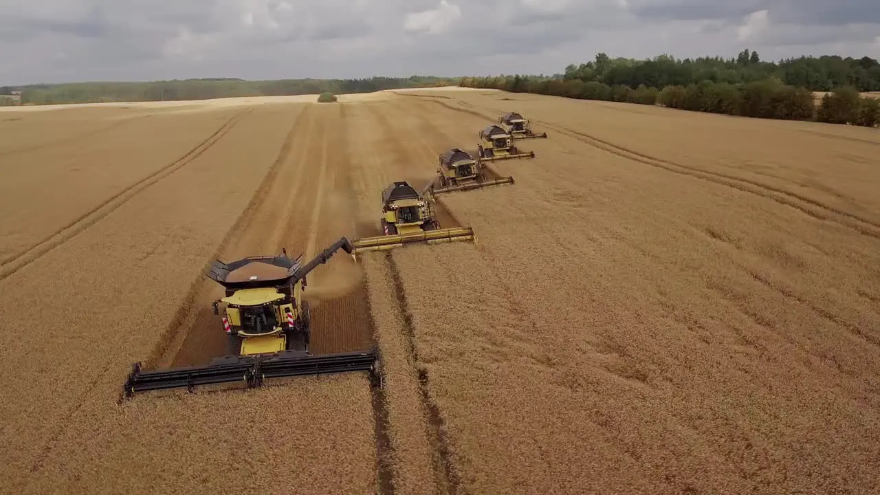 Beautiful cinematic aerial view of a row of combine harvesters working in unison and collecting golden wheat during harvest season