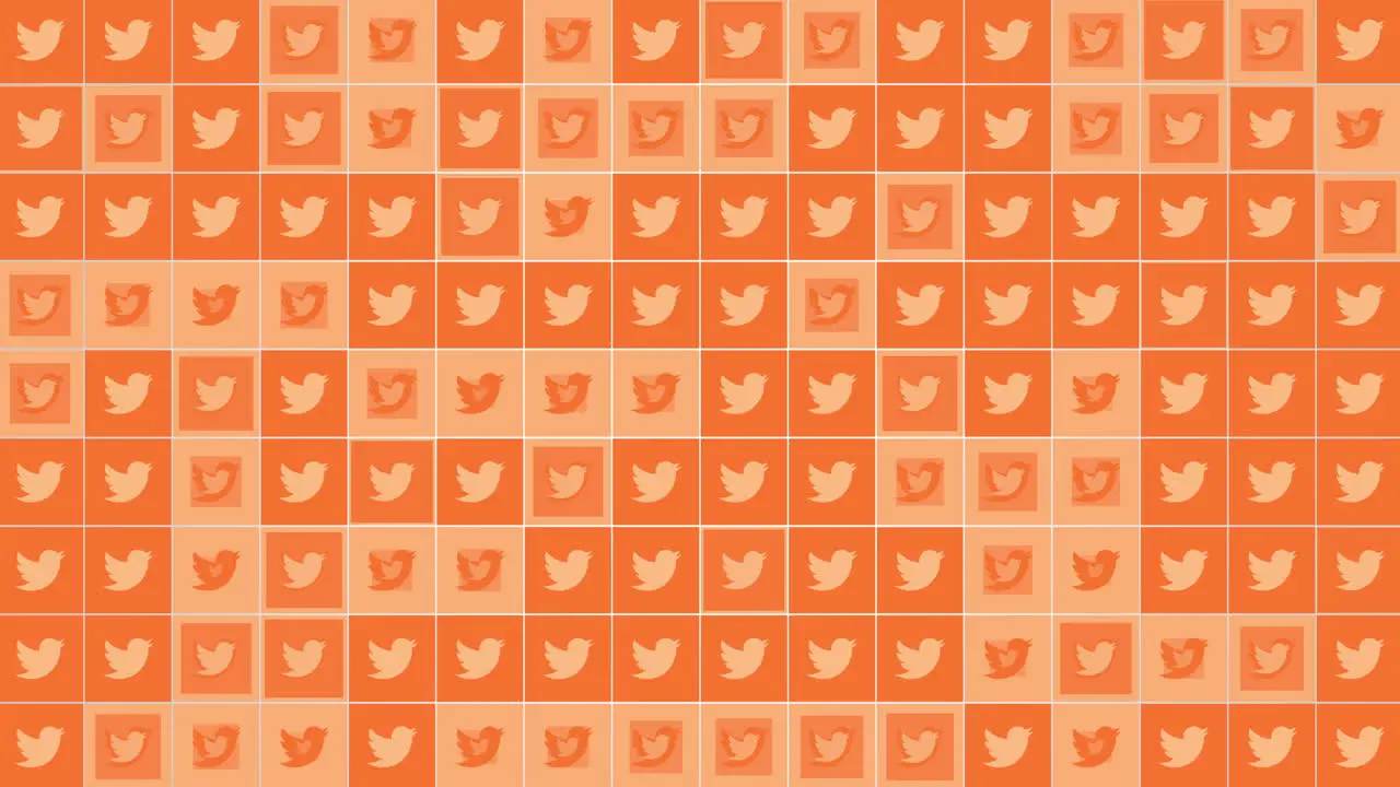 Social Twitter icons pattern on network background