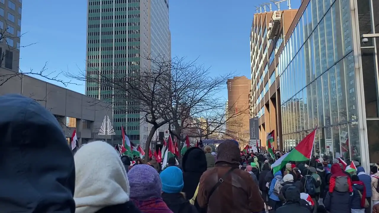 People manifesting in supporting Palestine